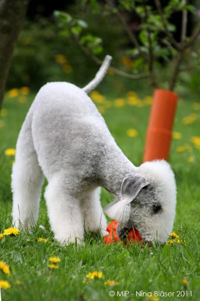 2011-04-23 Quincy etc (43).jpg